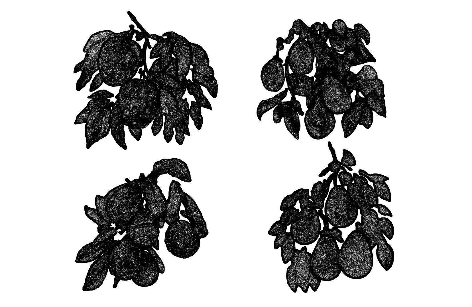 Magical Fruits 3D model https://p.turbosquid.com/ts-thumb/7u/kjqIFP/NR/81/jpg/1690880784/1920x1080/fit_q87/f86aaf72ce18faaf778850c62455870971cef937/81.jpg