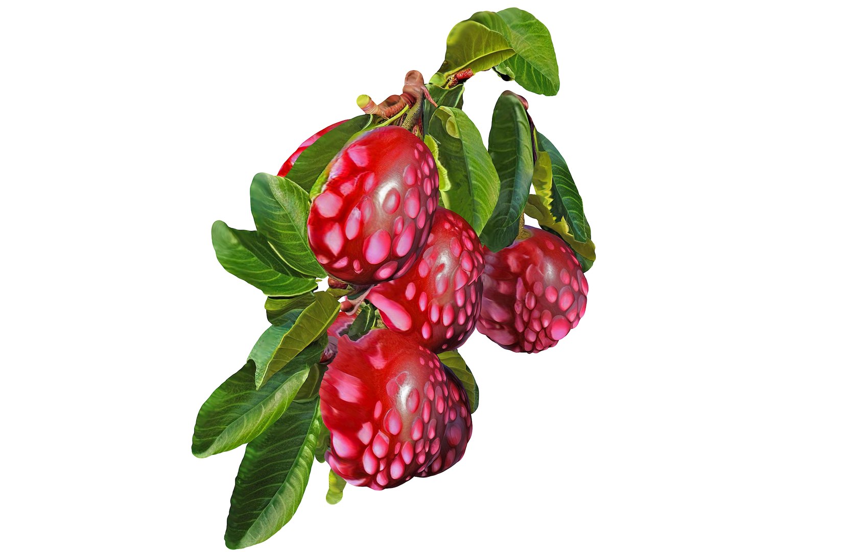 Magical Fruits 3D model https://p.turbosquid.com/ts-thumb/7u/kjqIFP/R6/73/jpg/1690880778/1920x1080/fit_q87/4fa1d3002d642dbe56a9078872453c2822b96553/73.jpg