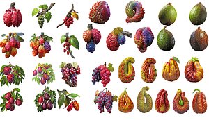 Magical Fruits 3D model