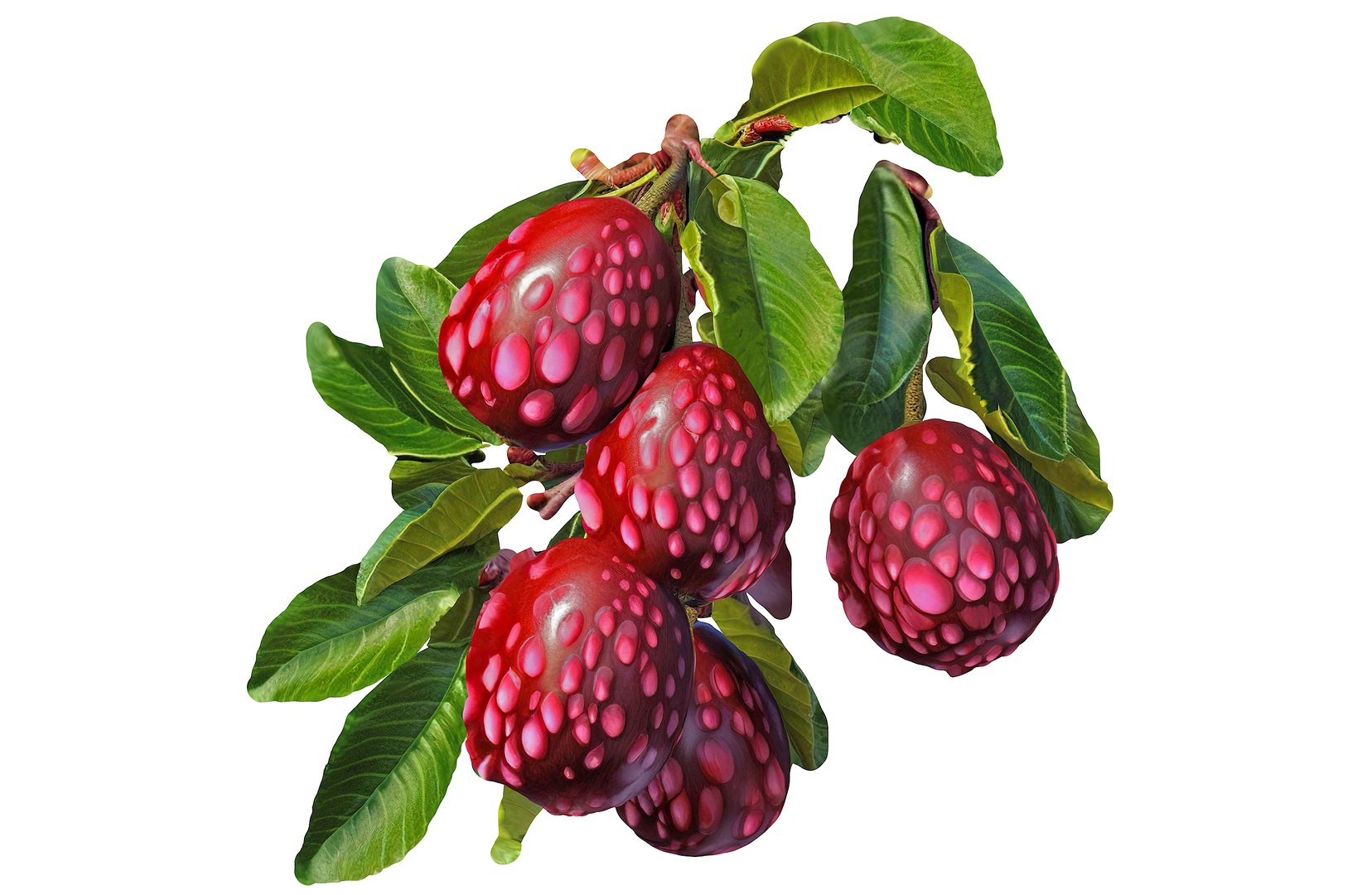 Magical Fruits 3D model https://p.turbosquid.com/ts-thumb/7u/kjqIFP/r1/71/jpg/1690880778/1920x1080/fit_q87/809a1bb9173f57b941e7b06a819d1647e153801b/71.jpg