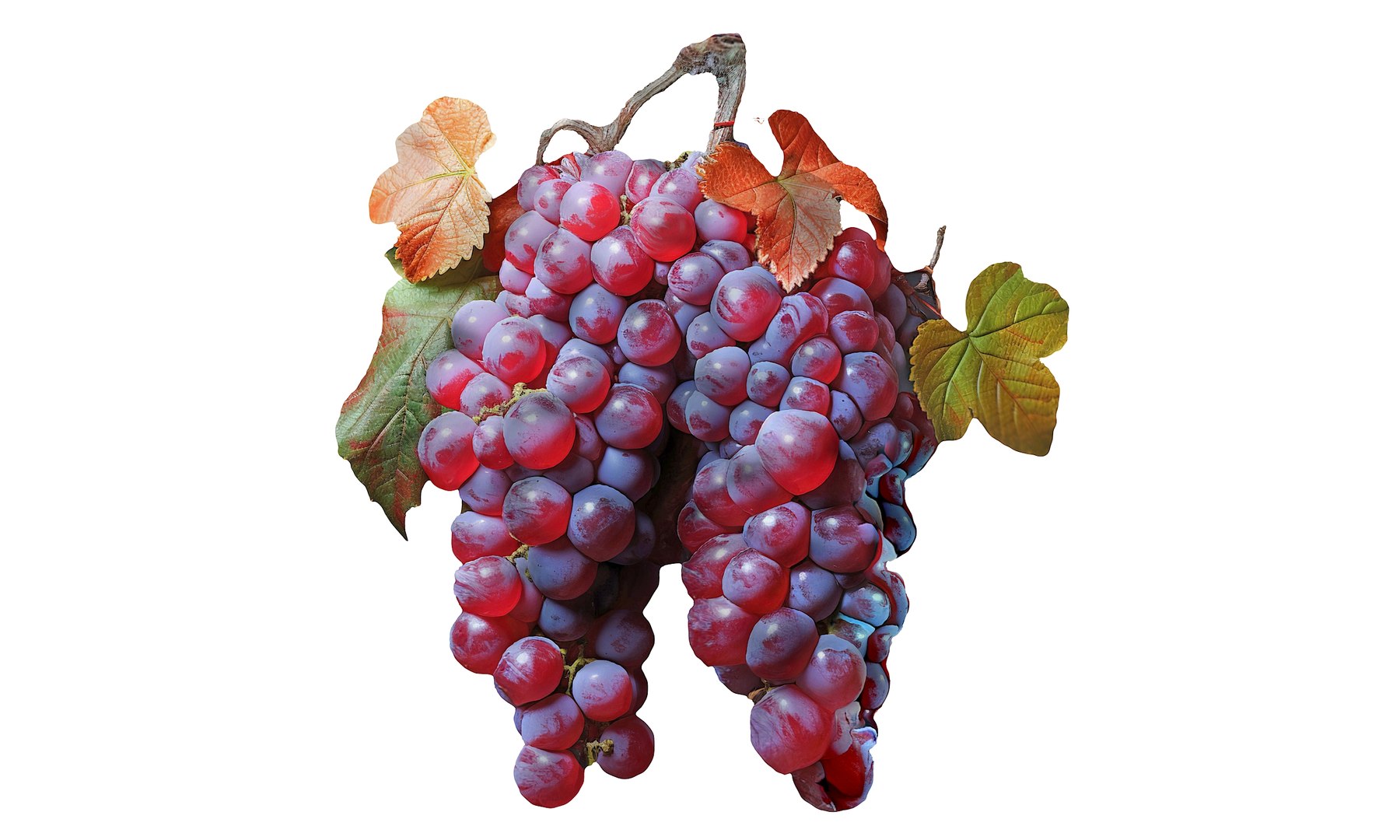 Magical Fruits 3D model https://p.turbosquid.com/ts-thumb/7u/kjqIFP/sU/66/jpg/1690880690/1920x1080/fit_q87/c4b0535dd515a027353881bbc93d2da4b4af36da/66.jpg