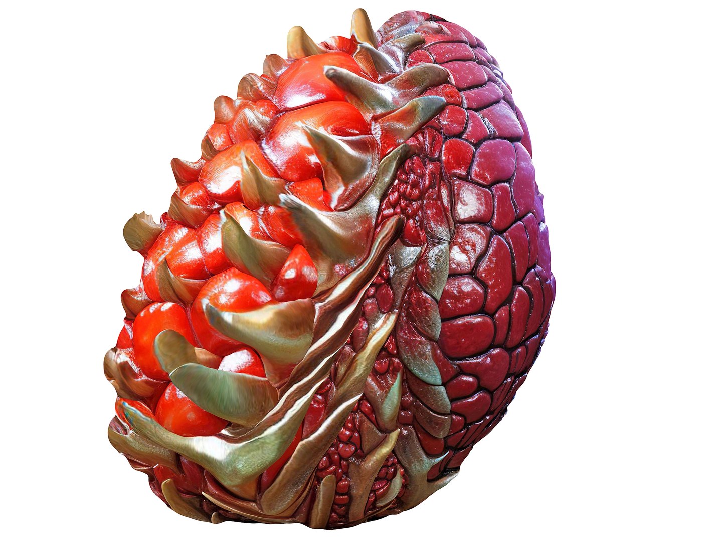 Magical Fruits 3D model https://p.turbosquid.com/ts-thumb/7u/kjqIFP/uV/94/jpg/1690880875/1920x1080/fit_q87/aa39b5911003bdbc0d8b725b2551aabad8a7c4b6/94.jpg