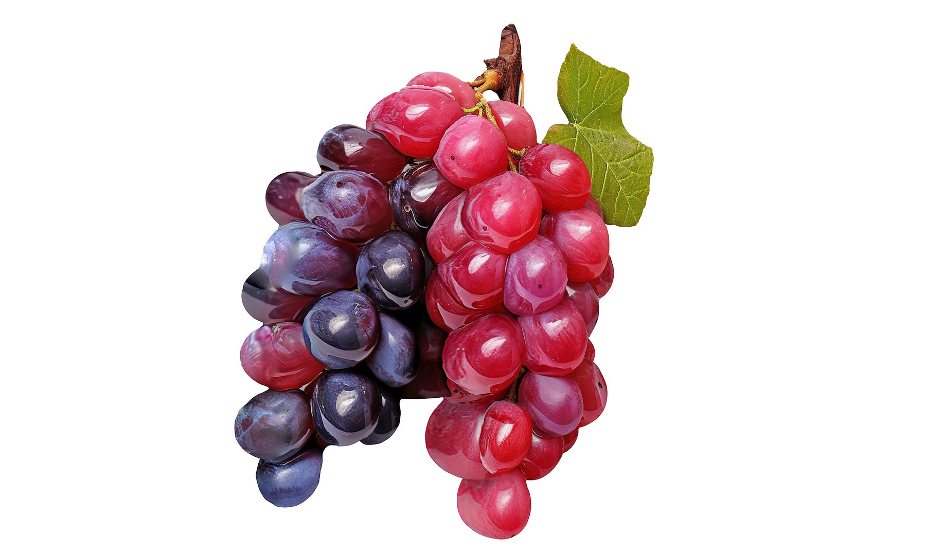 Magical Fruits 3D model https://p.turbosquid.com/ts-thumb/7u/kjqIFP/we/58/jpg/1690880646/1920x1080/fit_q87/b6df0b296b42297068f7de978defea65cf09a67e/58.jpg