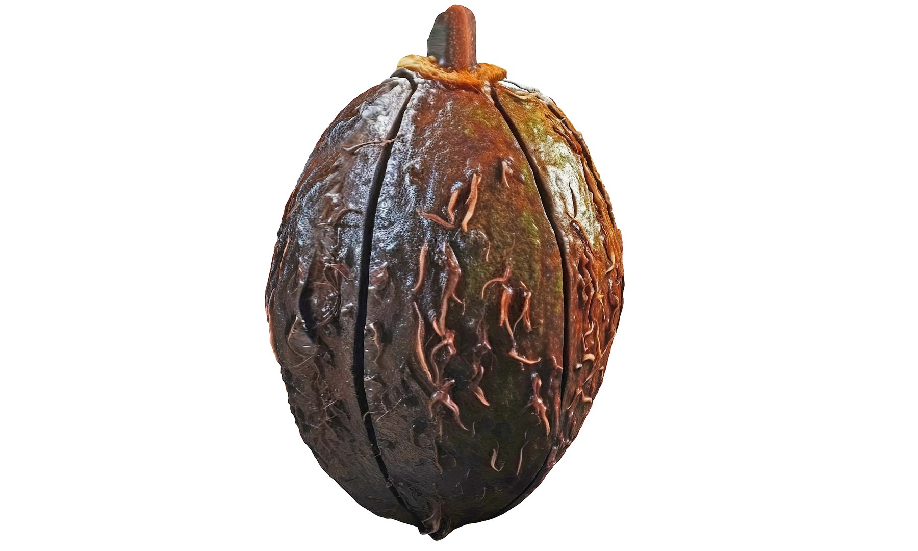 Magical Fruits 3D model https://p.turbosquid.com/ts-thumb/7u/kjqIFP/z7/36/jpg/1690880555/1920x1080/fit_q87/3ee3985e5787e2e06edf7f19194df9b074149bc3/36.jpg
