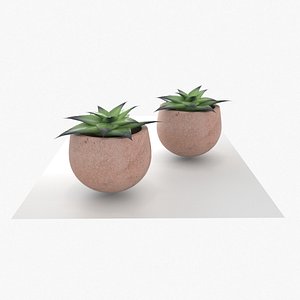 3D Greasy plant LOW AND HIGH Poly model