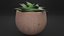 鉢植えのリアルな植物の花3Dモデル
