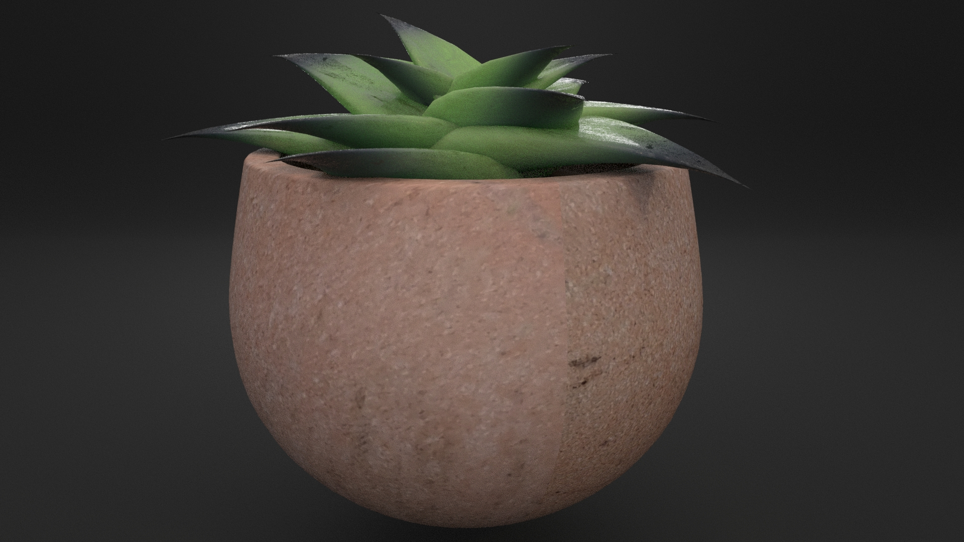 3D Greasy plant LOW AND HIGH Poly model https://p.turbosquid.com/ts-thumb/7u/kpj1UW/ZC/plante/jpg/1617876667/1920x1080/turn_fit_q99/d0a29825a4bdc2475bcd05938044081af4b83fa0/plante-1.jpg