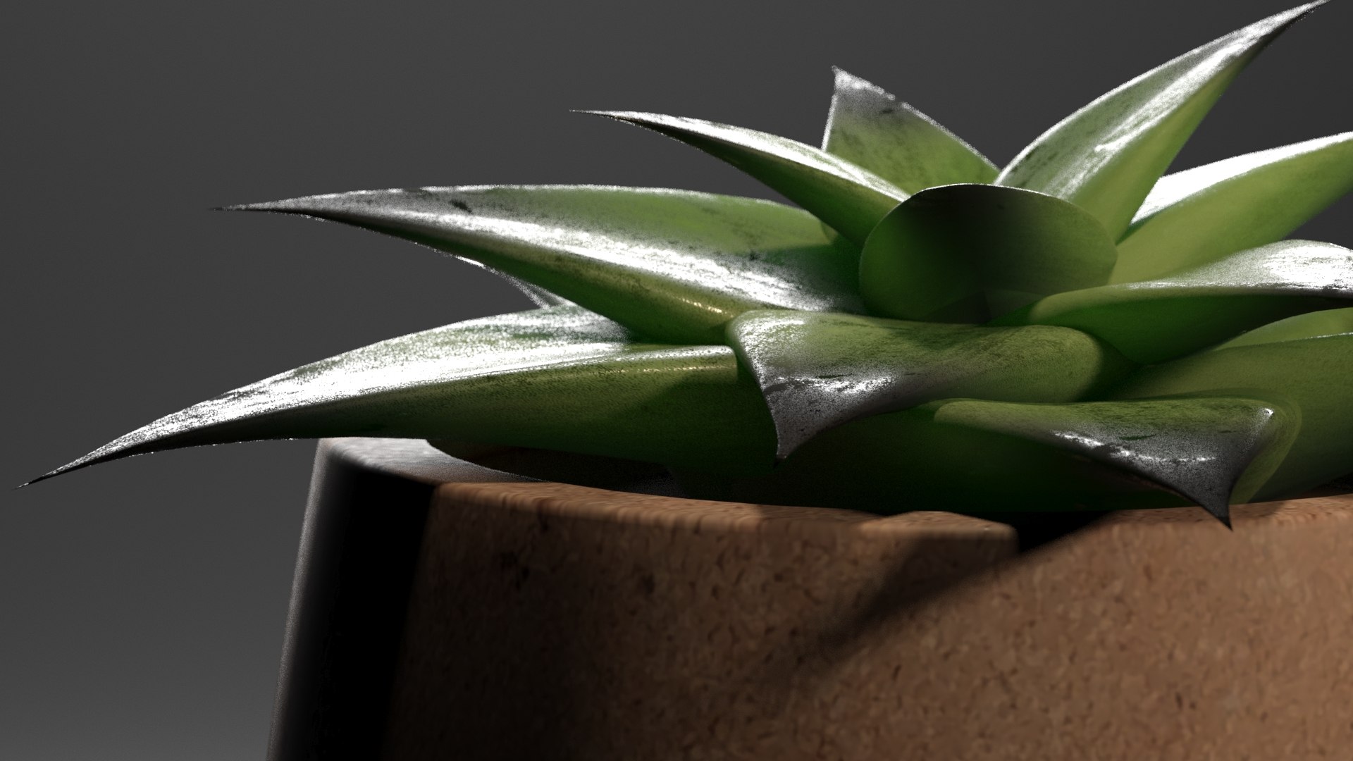 3D Greasy plant LOW AND HIGH Poly model https://p.turbosquid.com/ts-thumb/7u/kpj1UW/rw/proche/jpg/1617872664/1920x1080/fit_q87/47077e0e59d6025951dc279c851224339f0936e2/proche.jpg