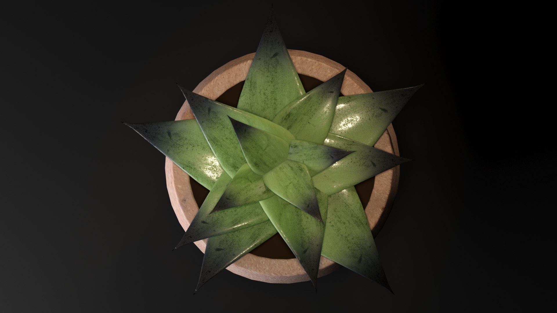 3D Greasy plant LOW AND HIGH Poly model https://p.turbosquid.com/ts-thumb/7u/kpj1UW/wo/toptop/jpg/1617872663/1920x1080/fit_q87/a65fca859b9629e36c01b51aac3b21a8994097cf/toptop.jpg