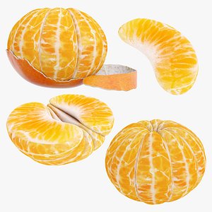 3D model Peeled tangerine collection