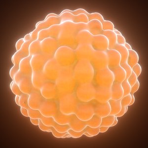 Herpes Virus