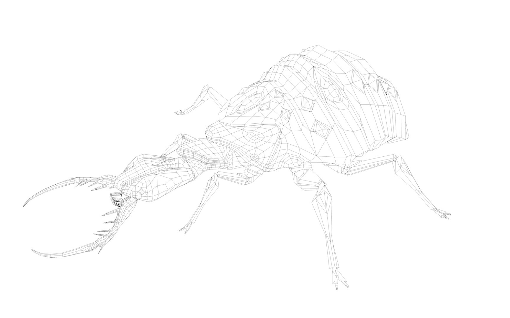antlion 3d model https://p.turbosquid.com/ts-thumb/7v/3gdGC2/6J1lWF0v/7/jpg/1371131566/1920x1080/fit_q87/1f4ed8b080abf43eb88658642f1b784f3975fe2b/7.jpg