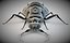 antlion