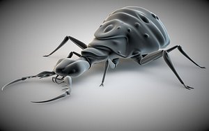 antlion