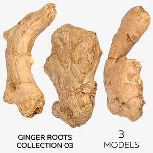 Ginger Roots Collection 03 - 3 models 3D model