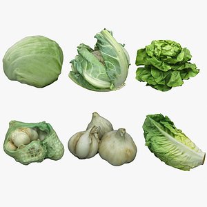 Vegetables  Collection 07 Mixed model