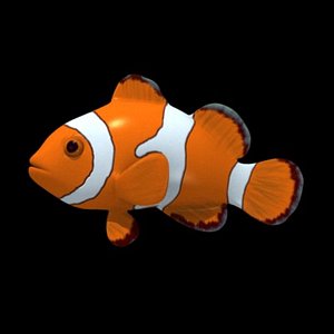 anemonefish.max