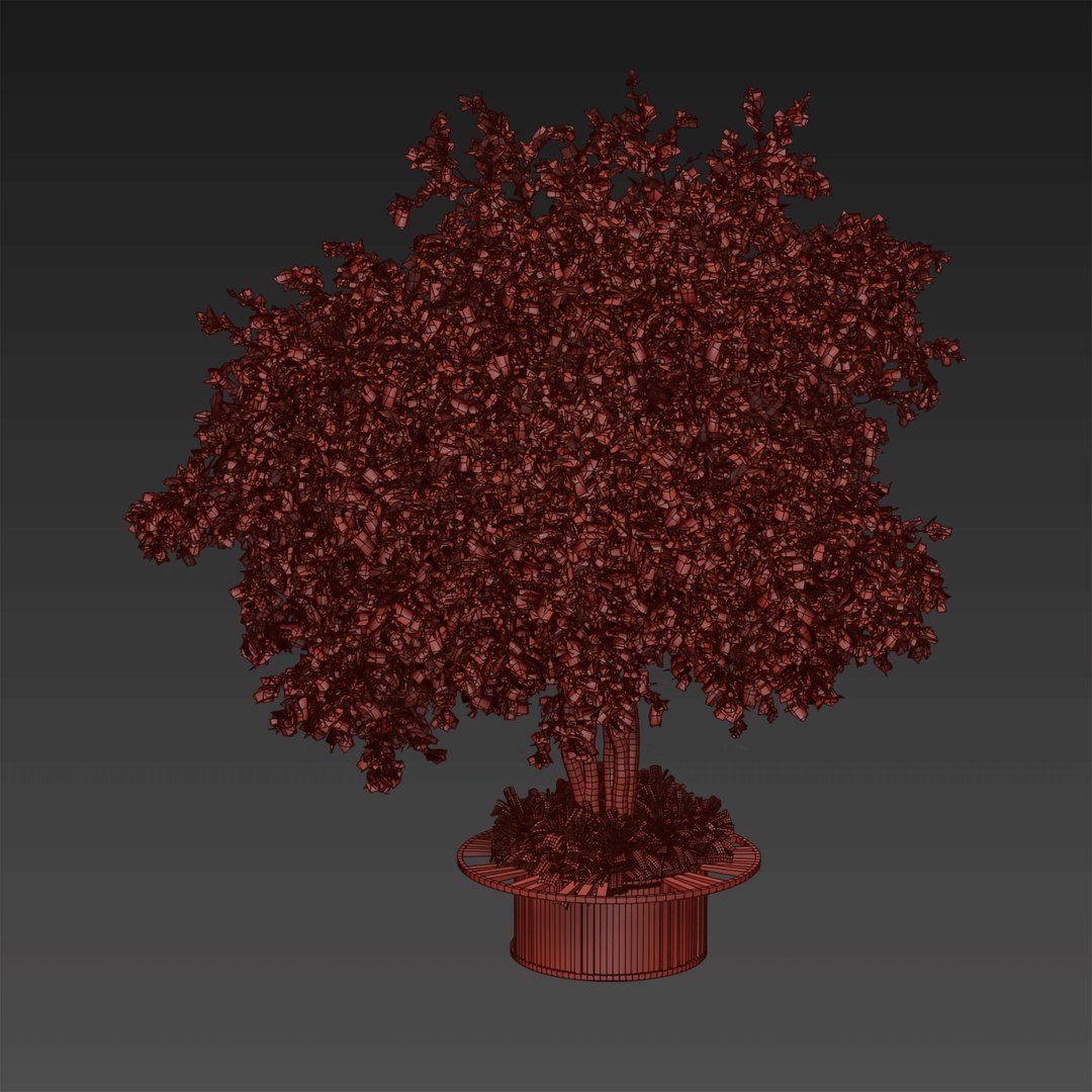Collection plant vol 497 - Urban environment - tree - Acer - 3dsmax ...