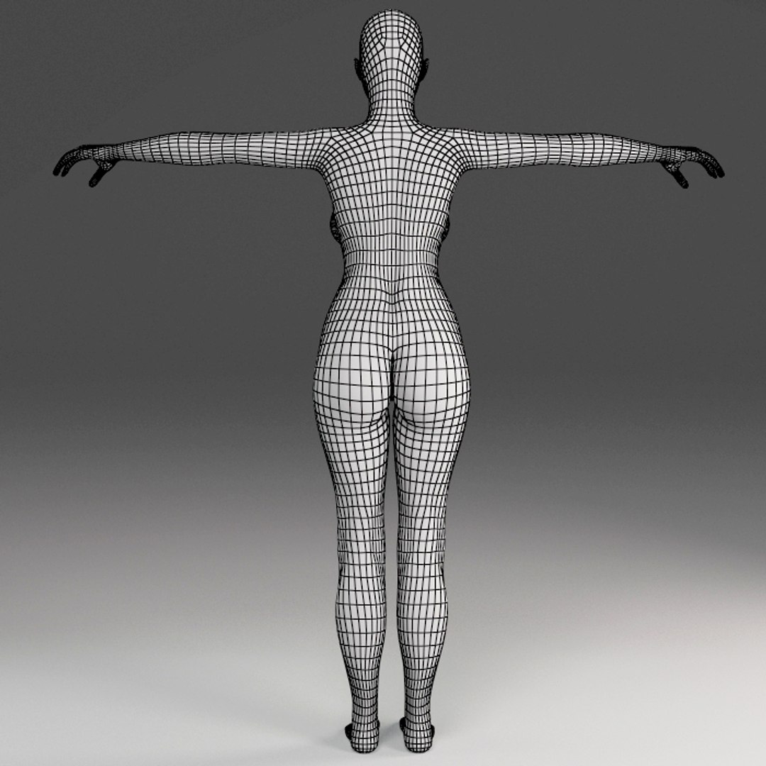 3d Female Body Model 