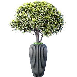3D Decorative tree bush shrub in a gray designer vase planters flowerpot Georgia Art Deco Indoor plant