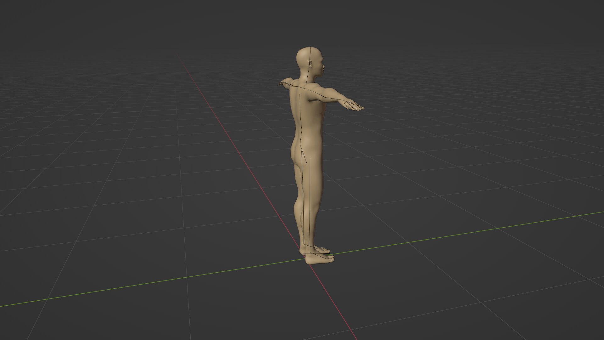 BaseHuman 3D Model - TurboSquid 2002317