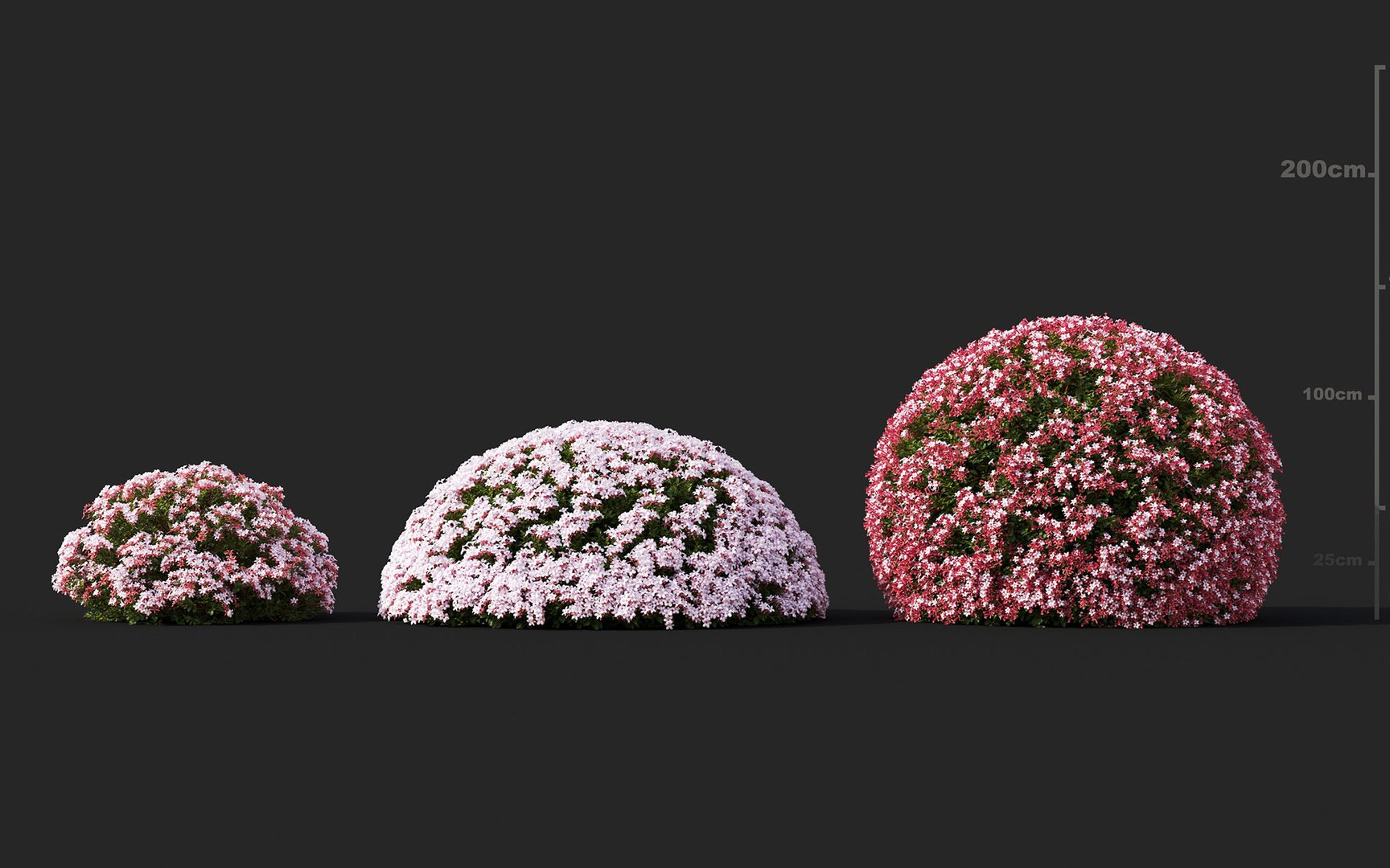 3D shrub flower includes growfx model https://p.turbosquid.com/ts-thumb/7w/wbrFdO/bELum0Rb/mt_pm_v33_glossy_abelia_01_0406/jpg/1605581660/1920x1080/fit_q87/f14e438050679b369c2d6422cec76a1de34c3da0/mt_pm_v33_glossy_abelia_01_0406.jpg