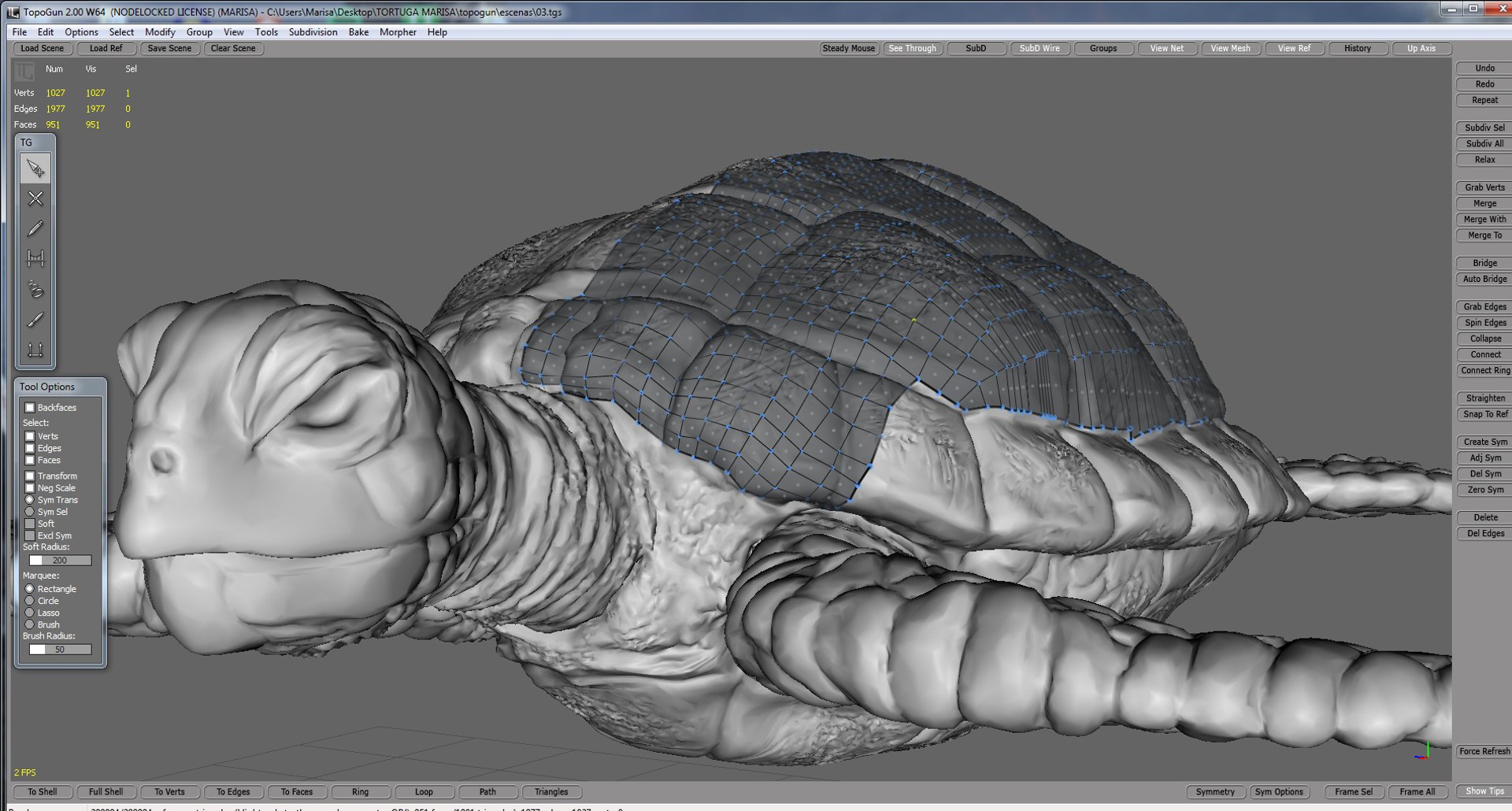 Sea Turtle 3D Model - TurboSquid 1397318