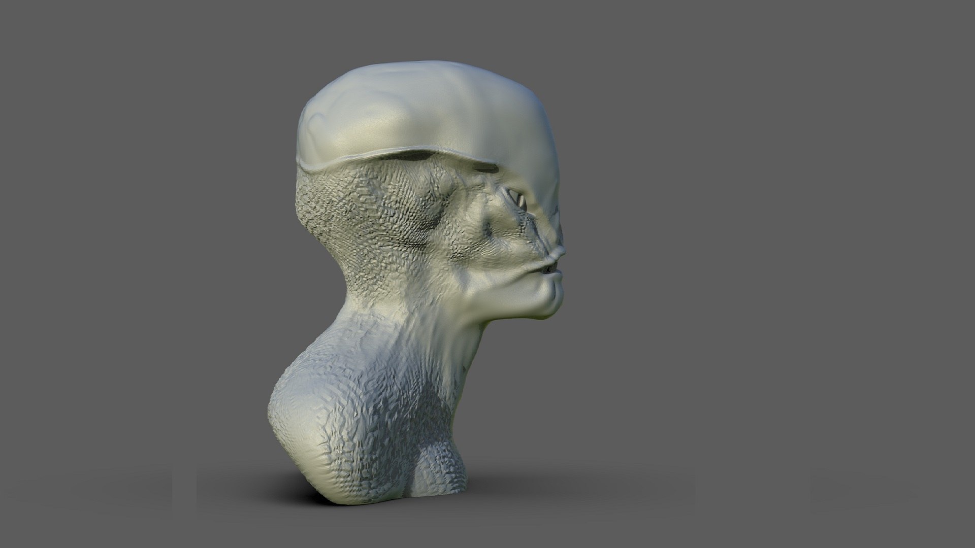 Reptilian Bust 3D model https://p.turbosquid.com/ts-thumb/7x/NQ2a6B/nW/rept.803/jpg/1692632780/1920x1080/fit_q87/a34f514457b275a5c8fb0c95f50f6abeac719644/rept.803.jpg