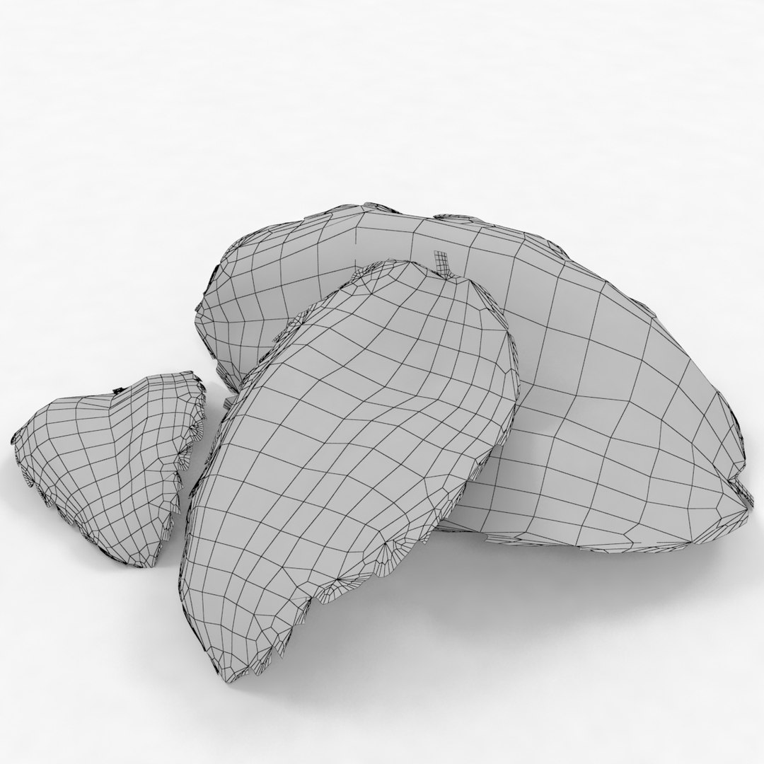 lemon mint leaf plant 3D model https://p.turbosquid.com/ts-thumb/7x/NTux1F/5kg3CqWF/5/jpg/1524218812/1920x1080/fit_q87/2c3638d38d6ef6f44594718d533f89d825e6b764/5.jpg