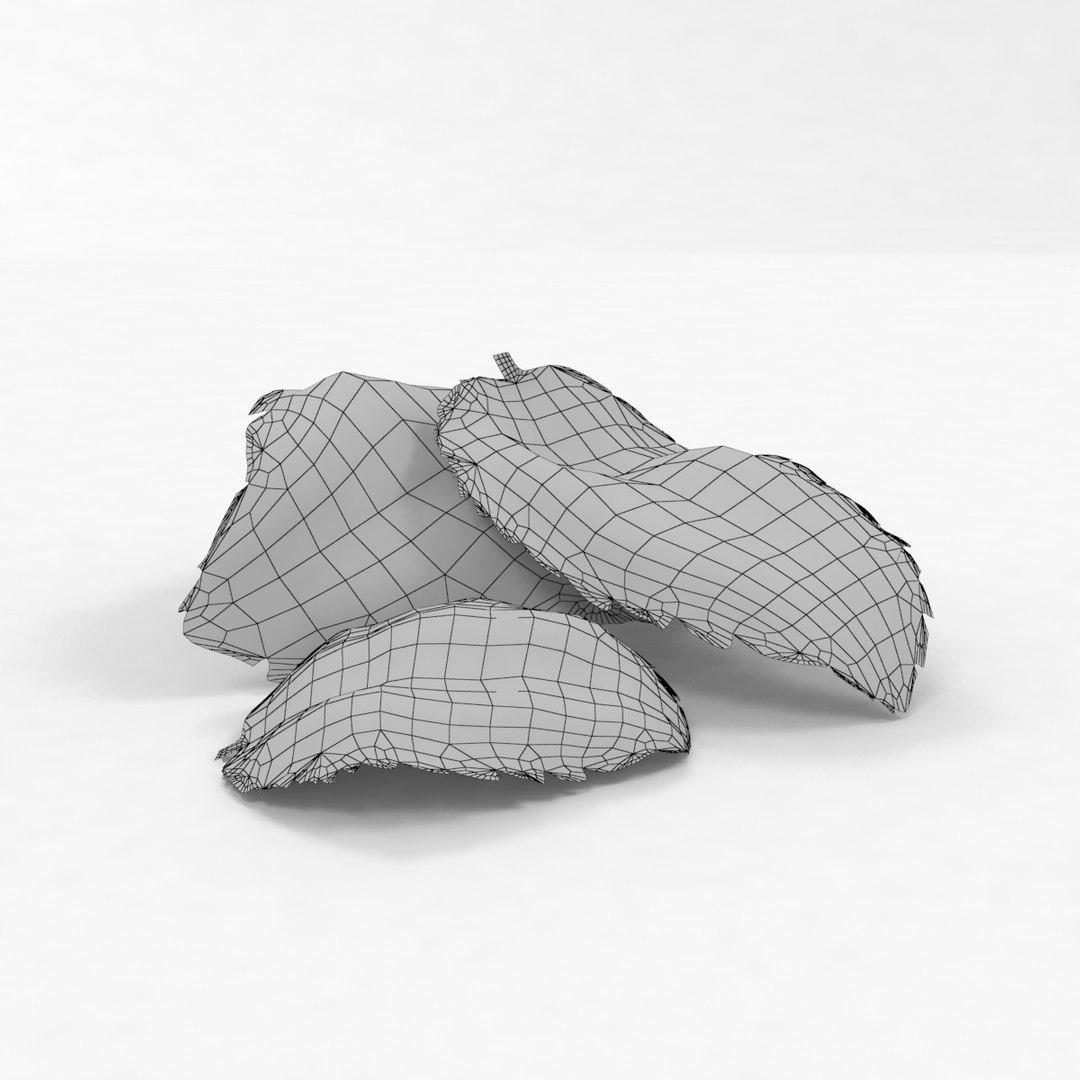 lemon mint leaf plant 3D model https://p.turbosquid.com/ts-thumb/7x/NTux1F/5qfYLS44/6/jpg/1524218830/1920x1080/fit_q87/4e47307c8187bf1899732c4ab509a8c9cc4851c5/6.jpg