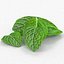 Mint leaf peppermint realistic herb