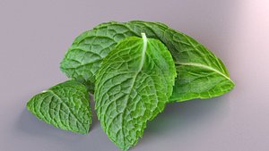 lemon mint leaf plant 3D model
