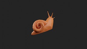 Snail Sculpt 3D model