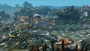 Underwater Coral Reef Habitat Ocean V3