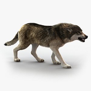 wolf rigged fur 3 model