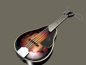free max model zipped mandolin strings