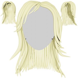 3D Hair wigs model