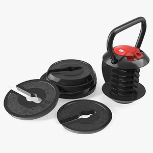 Kettlebell with Disks 3D