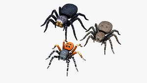 3D Ladybird Spider Collection