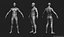 Base do corpo masculino