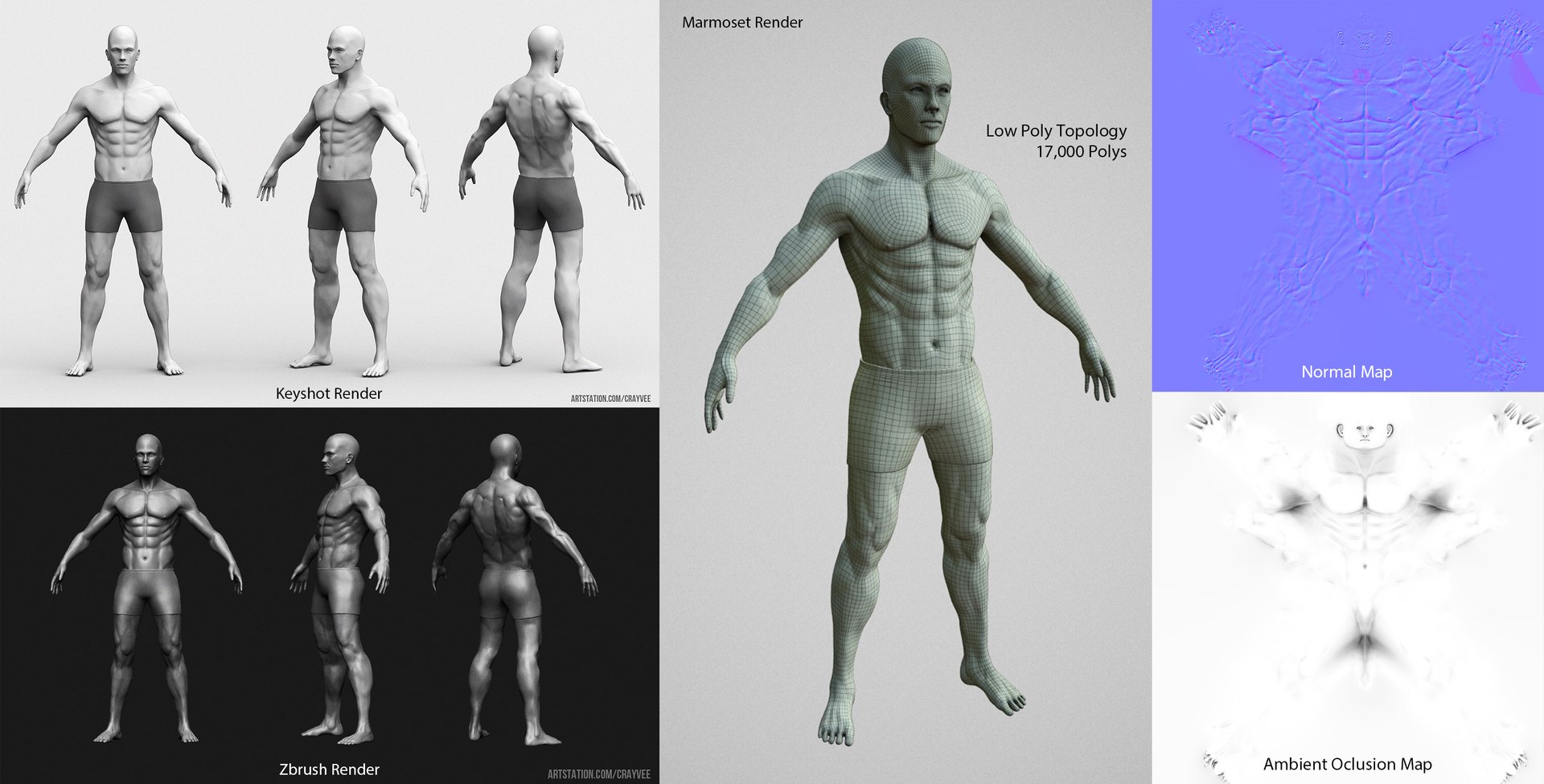 male body 3D https://p.turbosquid.com/ts-thumb/7x/vfGITi/Xw0fjTKs/maleanatomyshowcase/jpg/1507080672/1920x1080/fit_q87/c97317706c1c79c5b5fc79d3ed45a92778e29d2d/maleanatomyshowcase.jpg