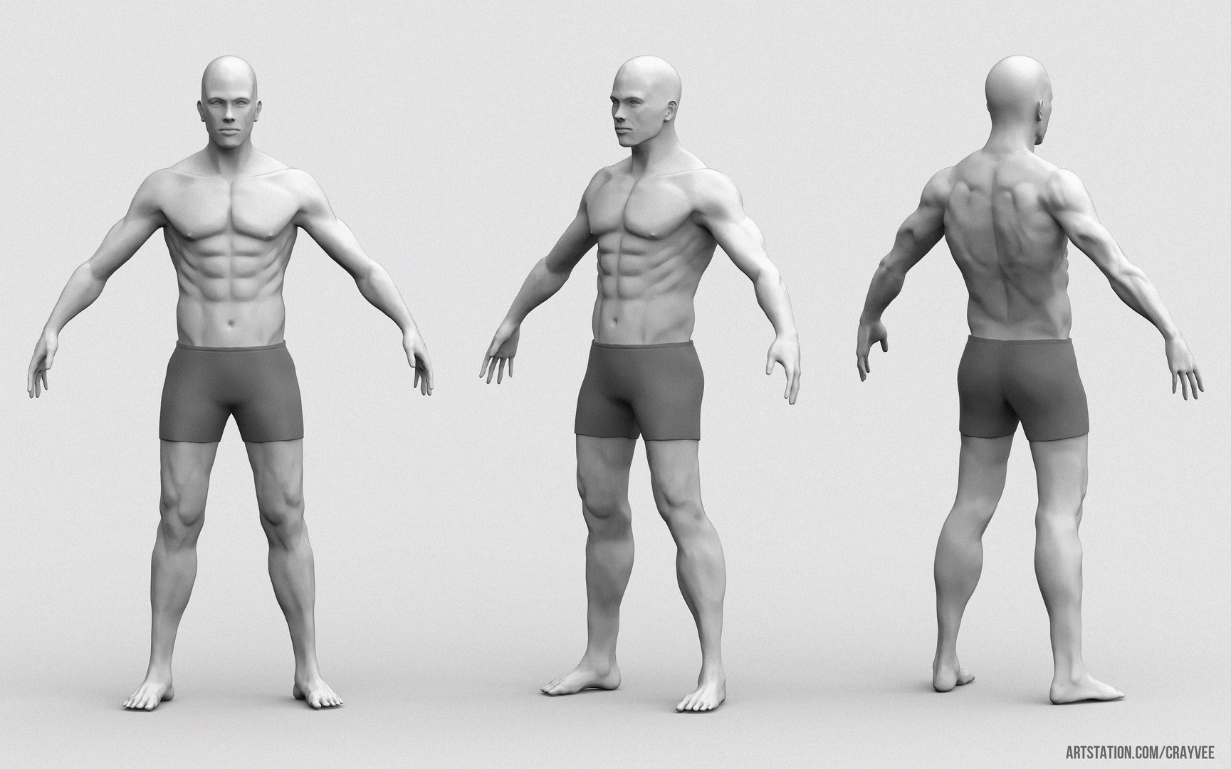male body 3D https://p.turbosquid.com/ts-thumb/7x/vfGITi/ZIS1nW9M/maleanatomyfinal/jpg/1507080591/1920x1080/fit_q87/d96bed9338603b48b9a3bb7b0953620dd06a29d7/maleanatomyfinal.jpg
