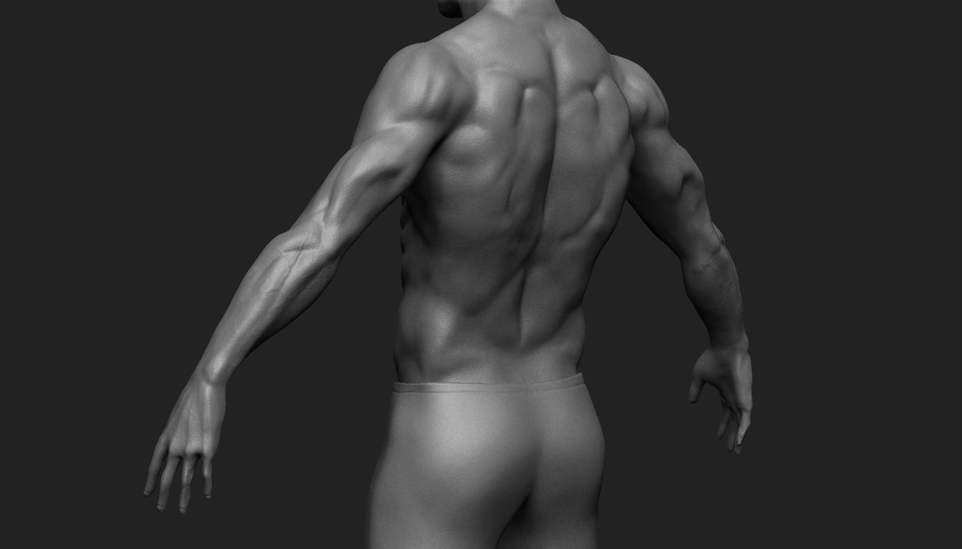 male body 3D https://p.turbosquid.com/ts-thumb/7x/vfGITi/yEHuE3y2/arm/jpg/1507080456/1920x1080/fit_q87/38cd860b34cce5aff6b991b5a56a5bf9f2790119/arm.jpg