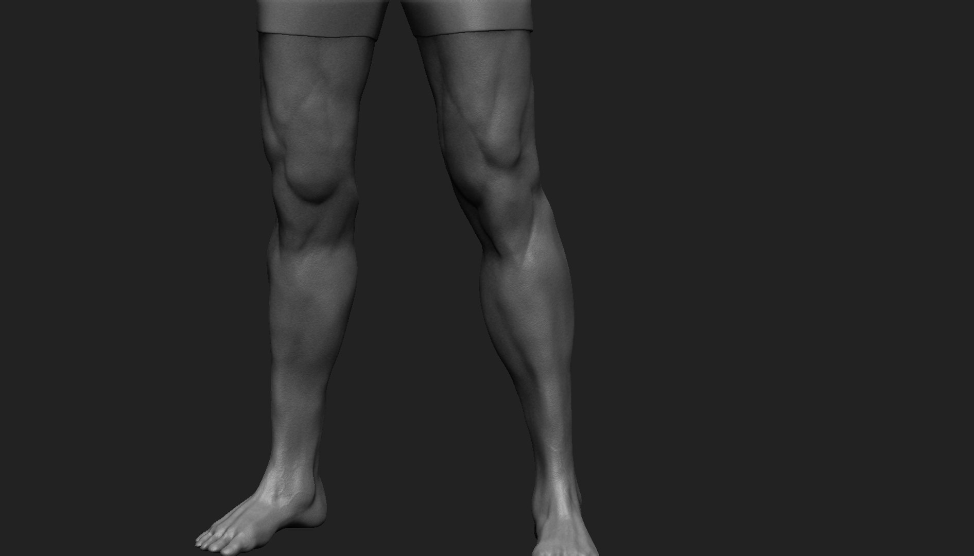 male body 3D https://p.turbosquid.com/ts-thumb/7x/vfGITi/zxQkjN61/legs/jpg/1507080636/1920x1080/fit_q87/1b906df73d975167fe26935462e6a0b42d460ef9/legs.jpg