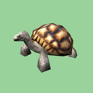 3d turtle tortoise