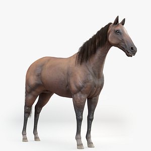 realistic rigged horse fur 3D model