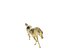Arabic Horse in galloping position 2