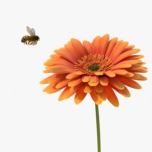 Bee Pollinates Flower Animated Fur Rigged For Blender