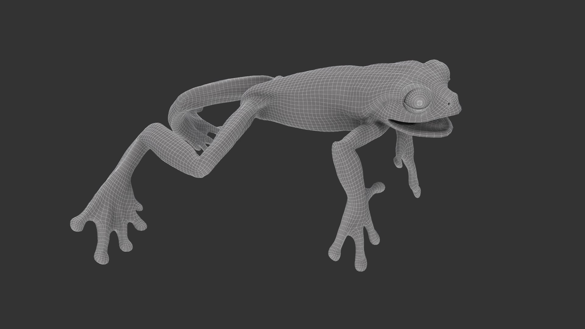 3D Red-Eyed Tree Frog https://p.turbosquid.com/ts-thumb/7y/d0bzVW/0n/red_eyed_frog_wired02/png/1672833082/1920x1080/fit_q87/cd89f63263291d0f866ffbf55804fa2b0aefd3cd/red_eyed_frog_wired02.jpg