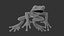 Red-Eyed Tree Frog